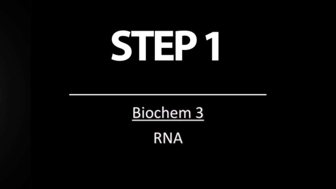 Biochem 3  RNA