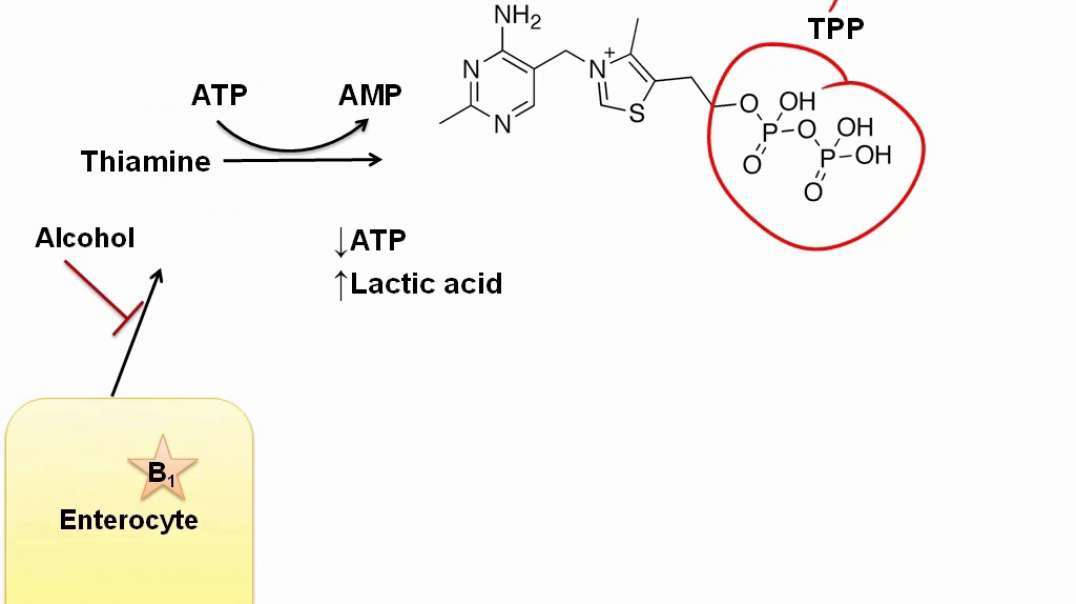Vitamin B1
