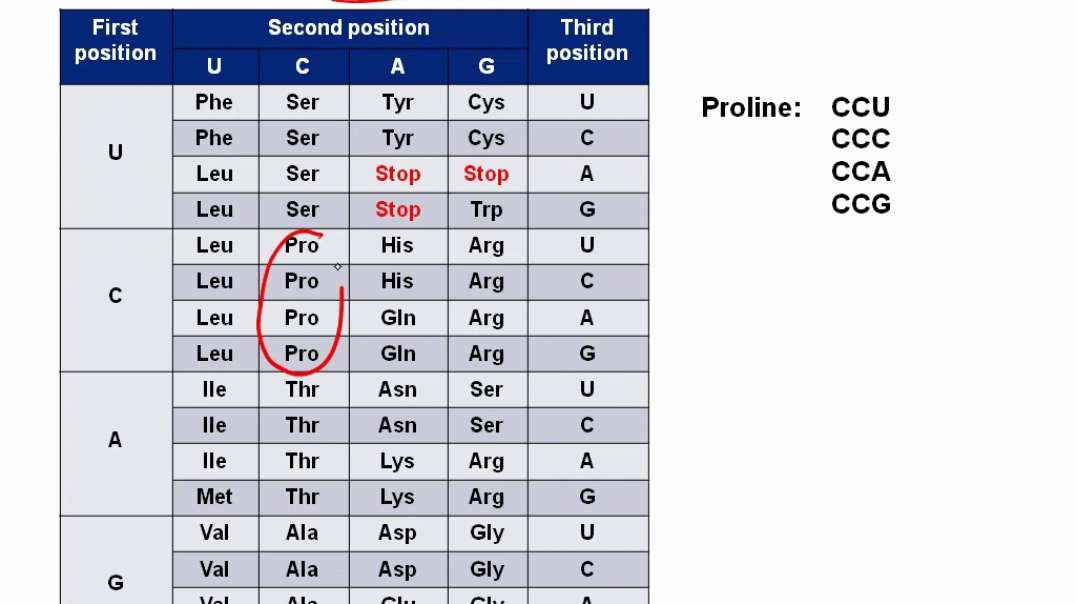Genetic Code Features