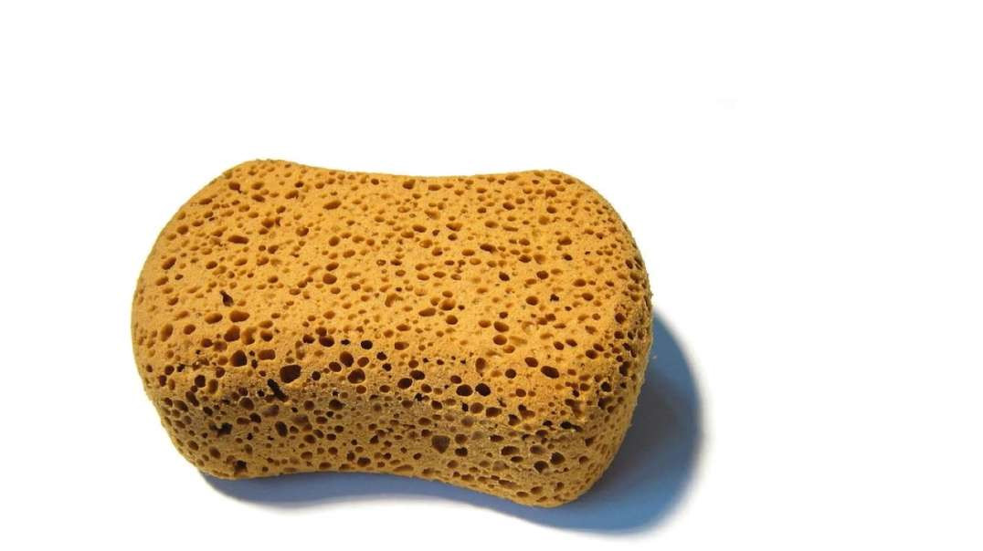 Bronchioles and alveoli