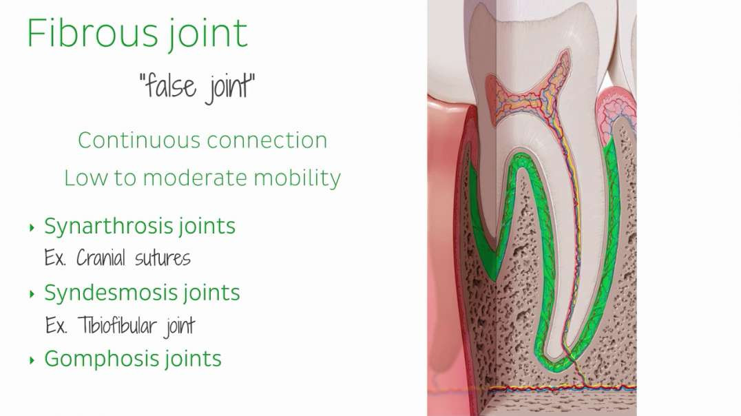 Types of joints