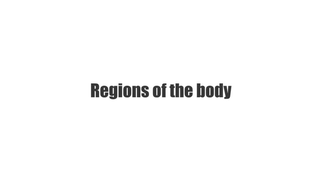 Body regions
