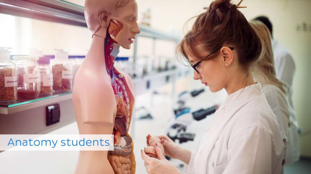 Introduction to lymph nodes