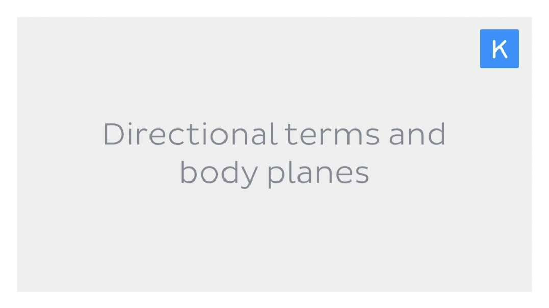 Directional terms and body planes