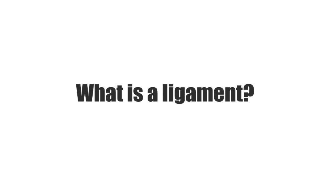 What is a ligament