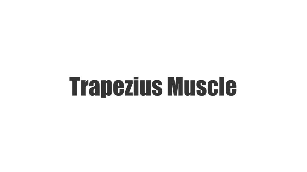 Trapezius muscle
