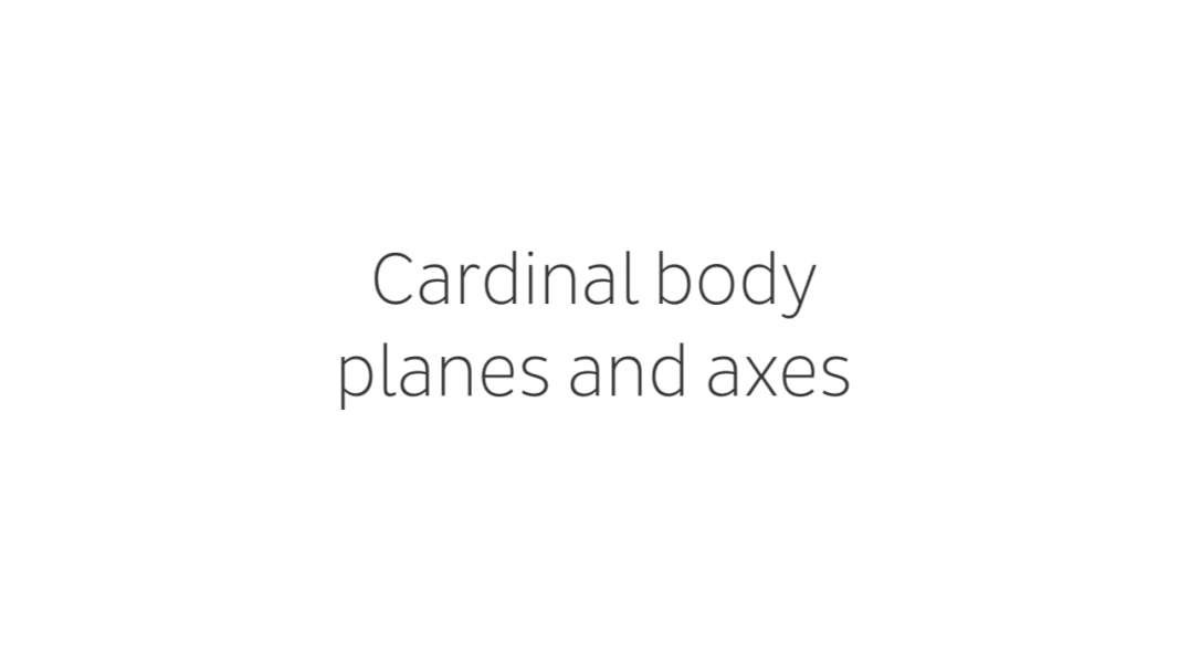 Cardinal body planes and axes