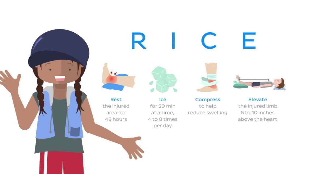 Ligaments of the foot