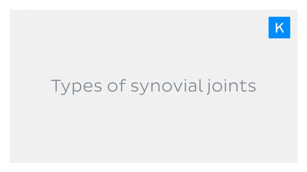 Types of synovial joints