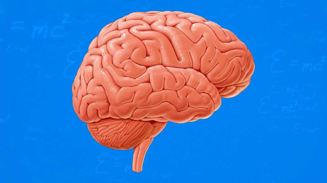 Superior sagittal sinus level