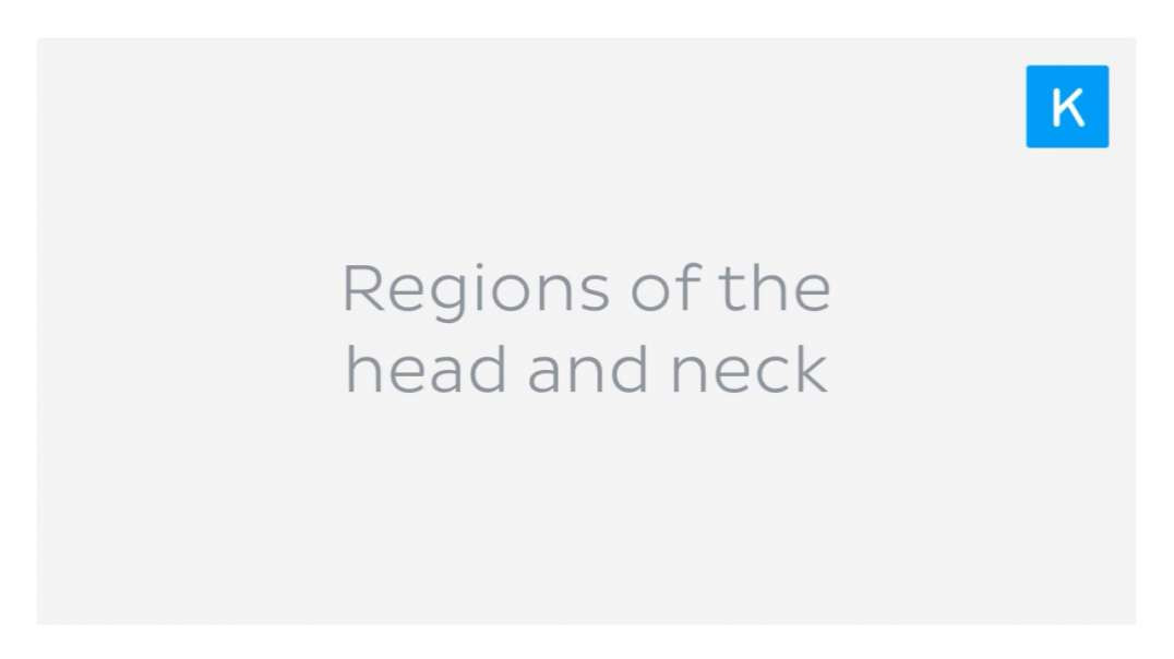 Regions of the head and neck