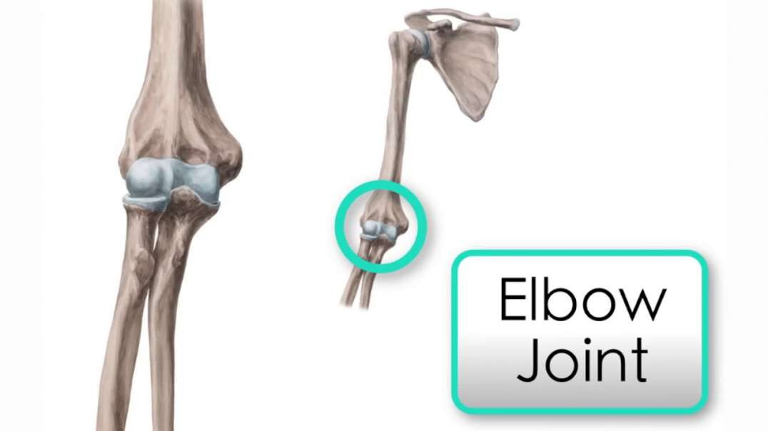 Elbow joint