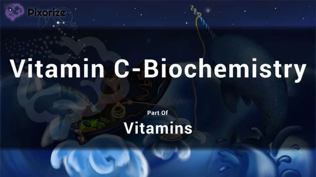 Vitamin C Biochemistry