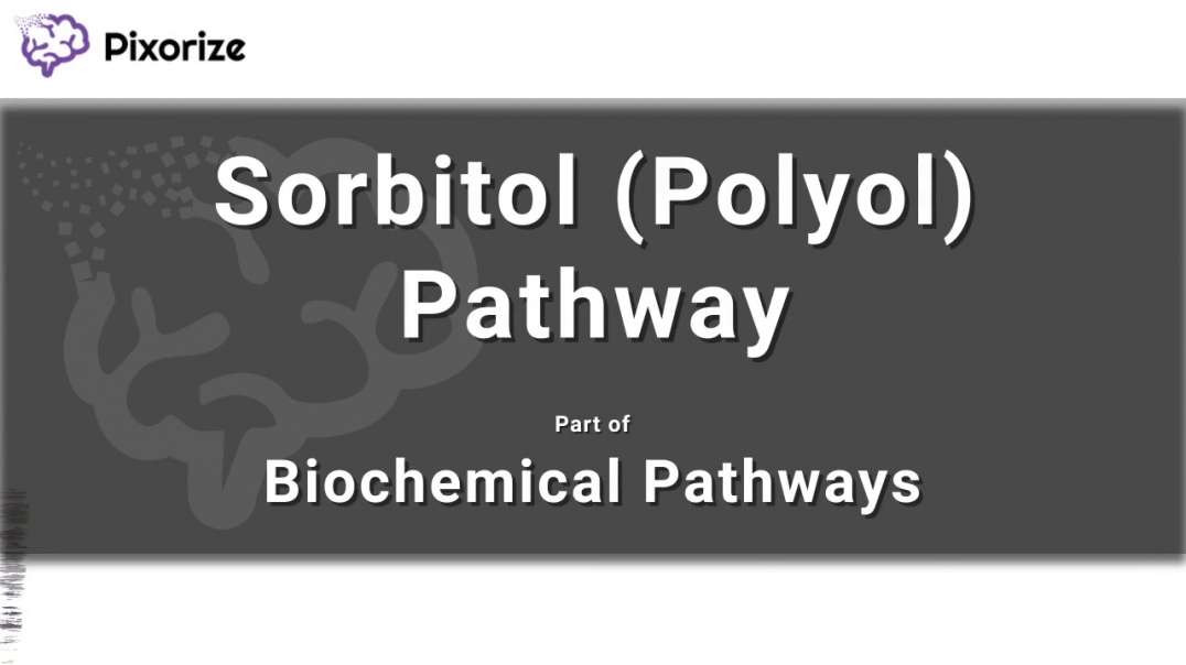Sorbitol Pathway