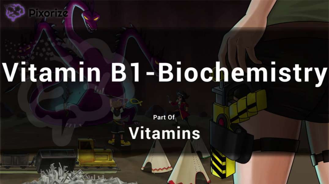 Thiamine (Vitamin B1) Biochemistry