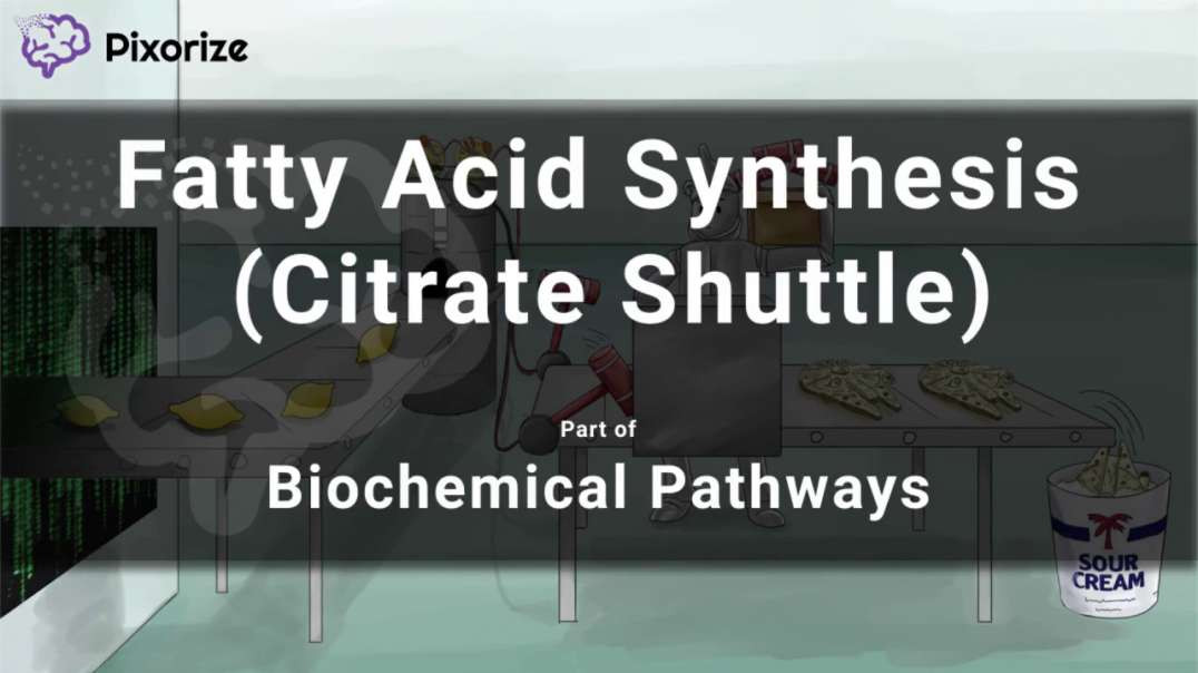Citrate Shuttle (Fatty Acid Synthesis)