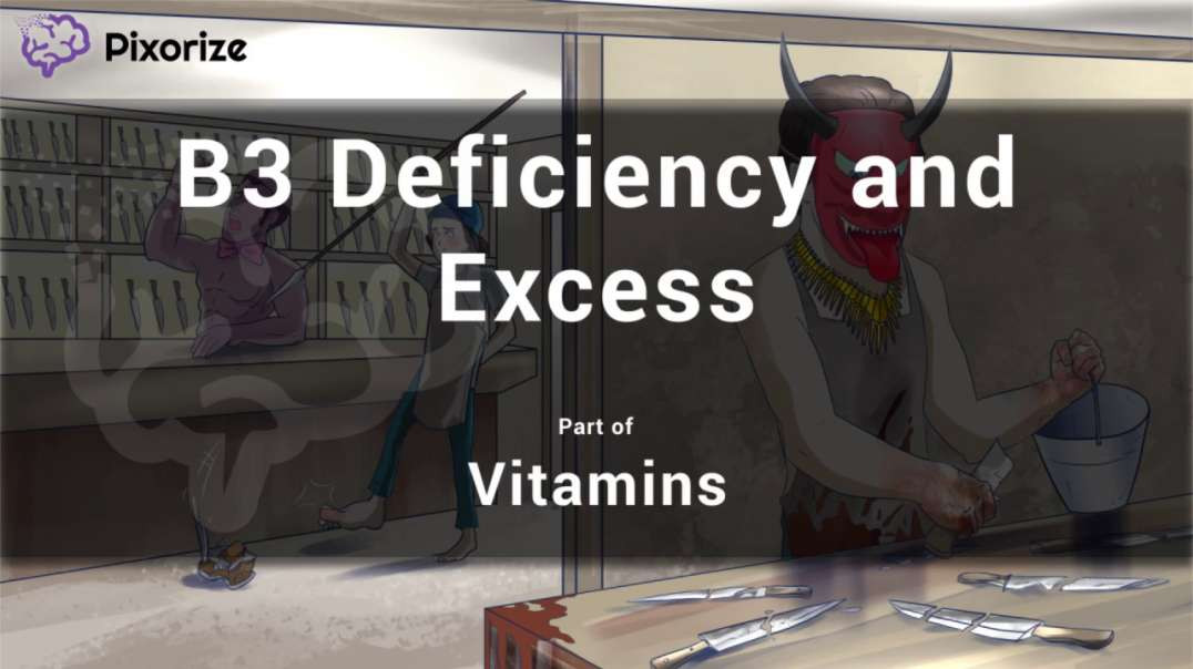 Vitamin B3 Deficiency and Excess