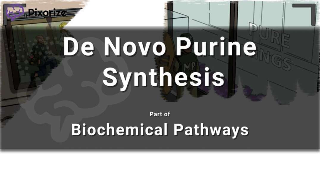 De Novo Purine Synthesis