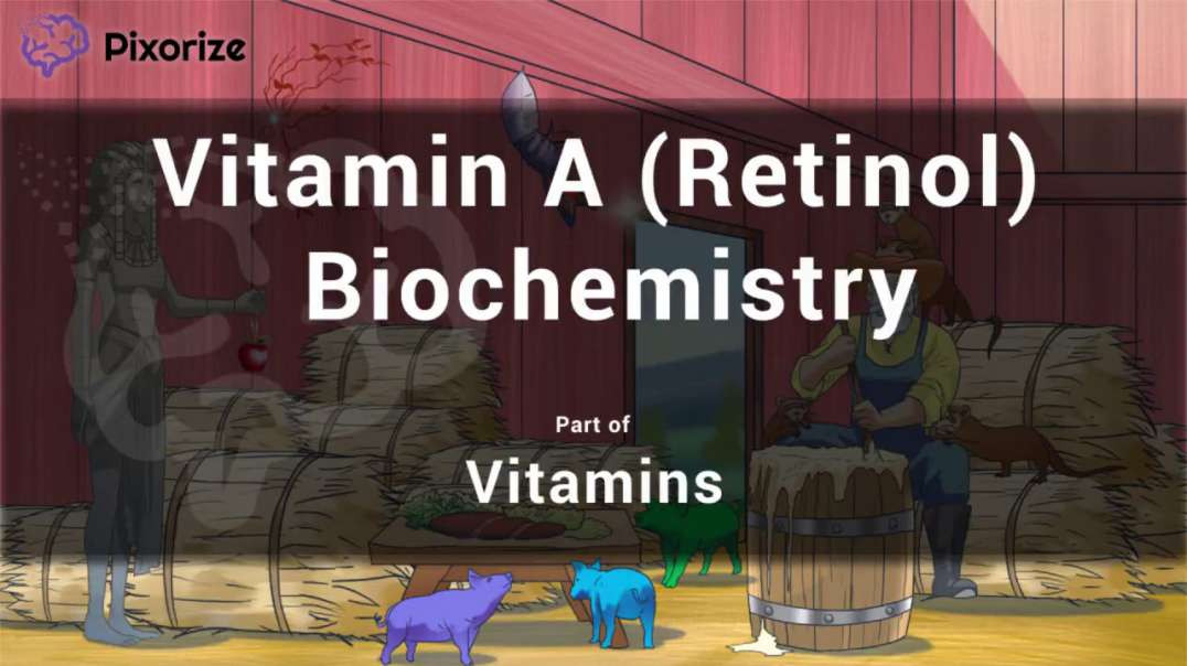 Vitamin A (Retinol)