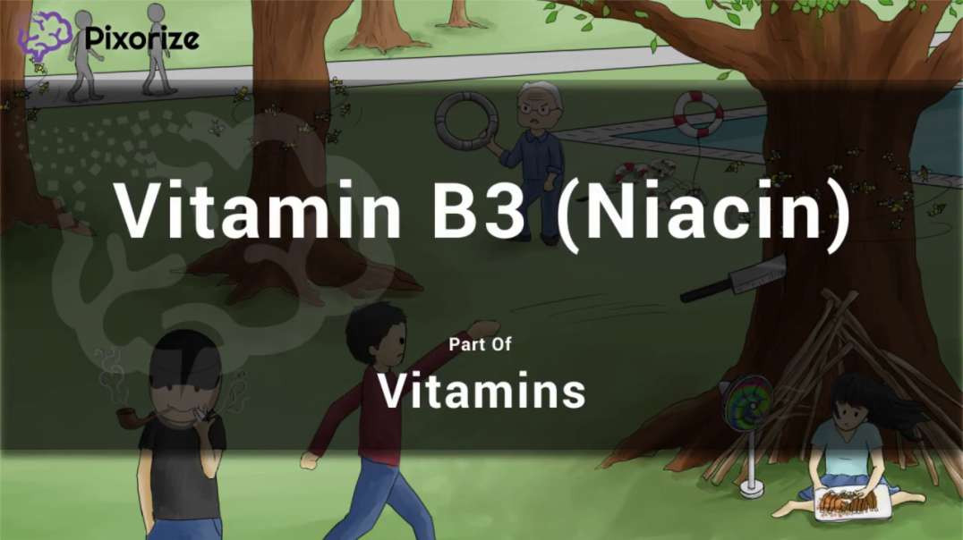 Vitamin B3 (Niacin)