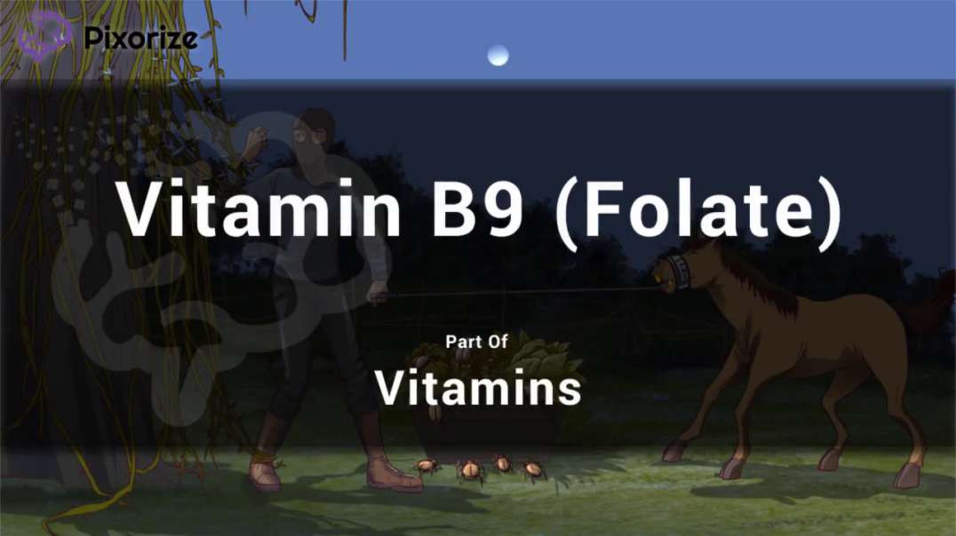 Vitamin B9 (Folate)