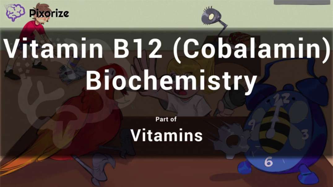 Vitamin B12 (Cobalamin) Biochemistry