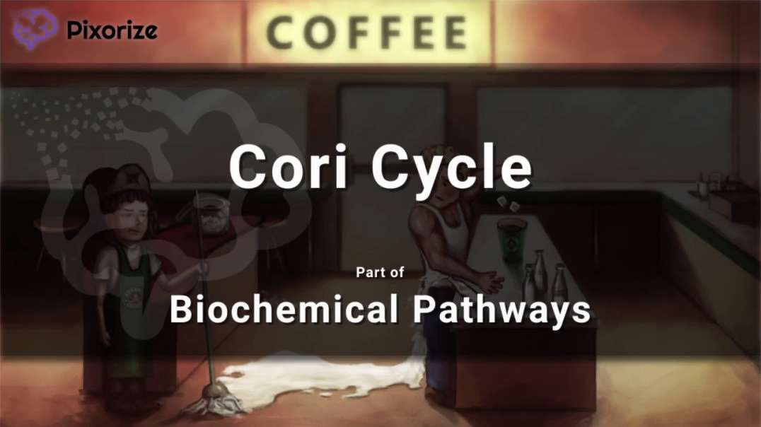 Cori Cycle