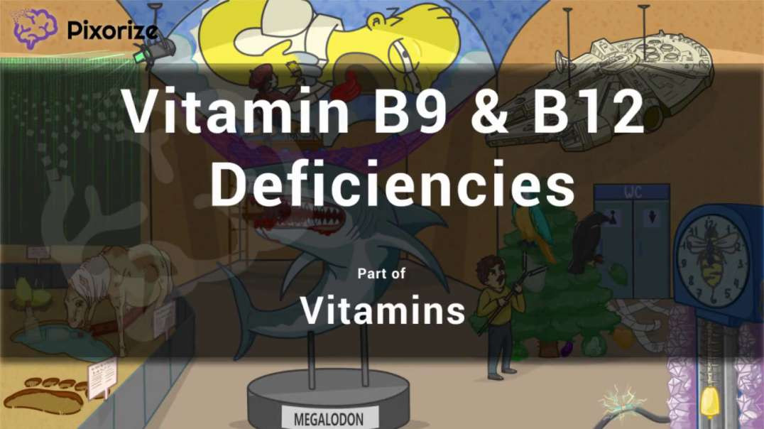 Vitamin B9 _ B12 Deficiencies