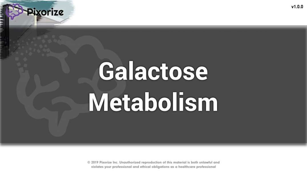 Galactose Metabolism