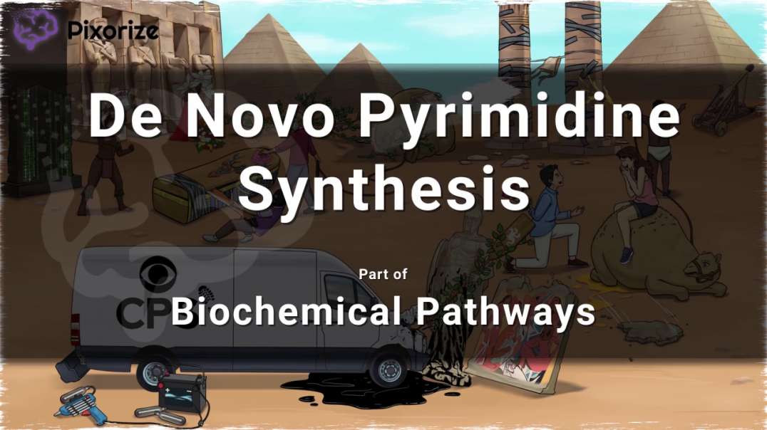 pyrimidine-synthesis