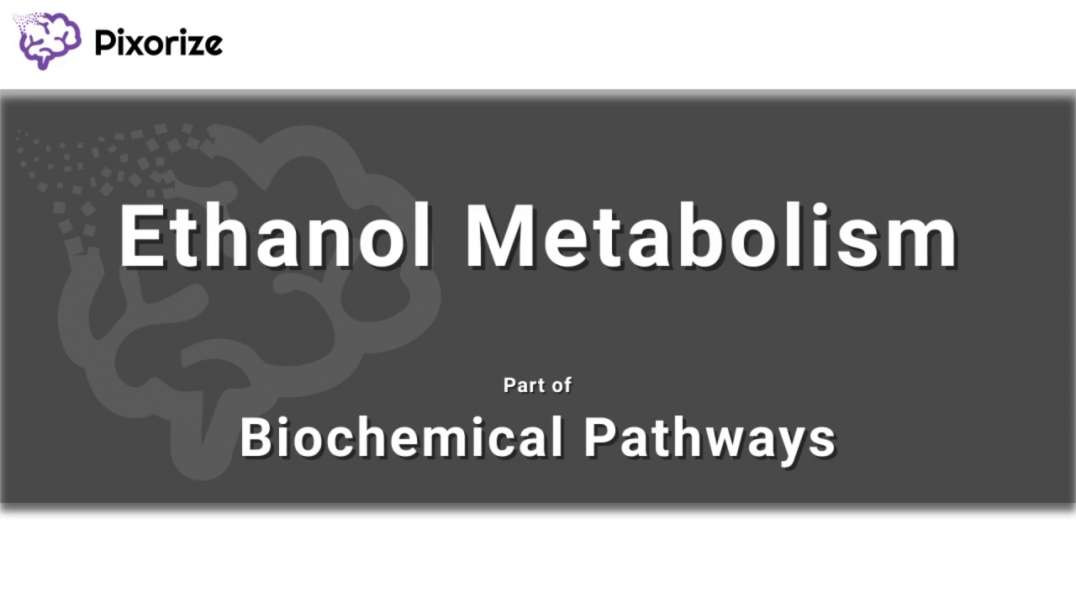 Ethanol Metabolism