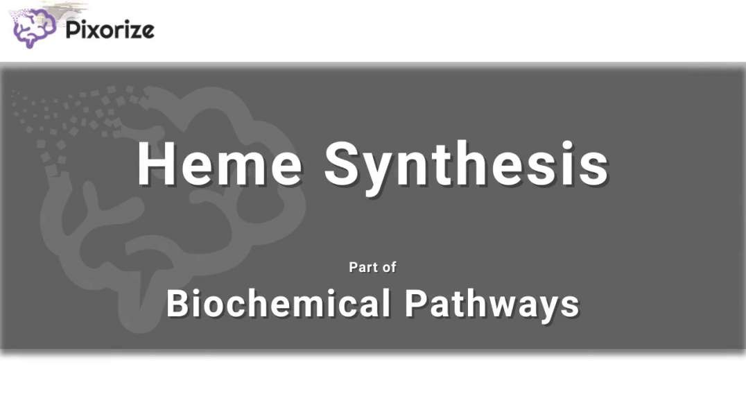 Heme Synthesis